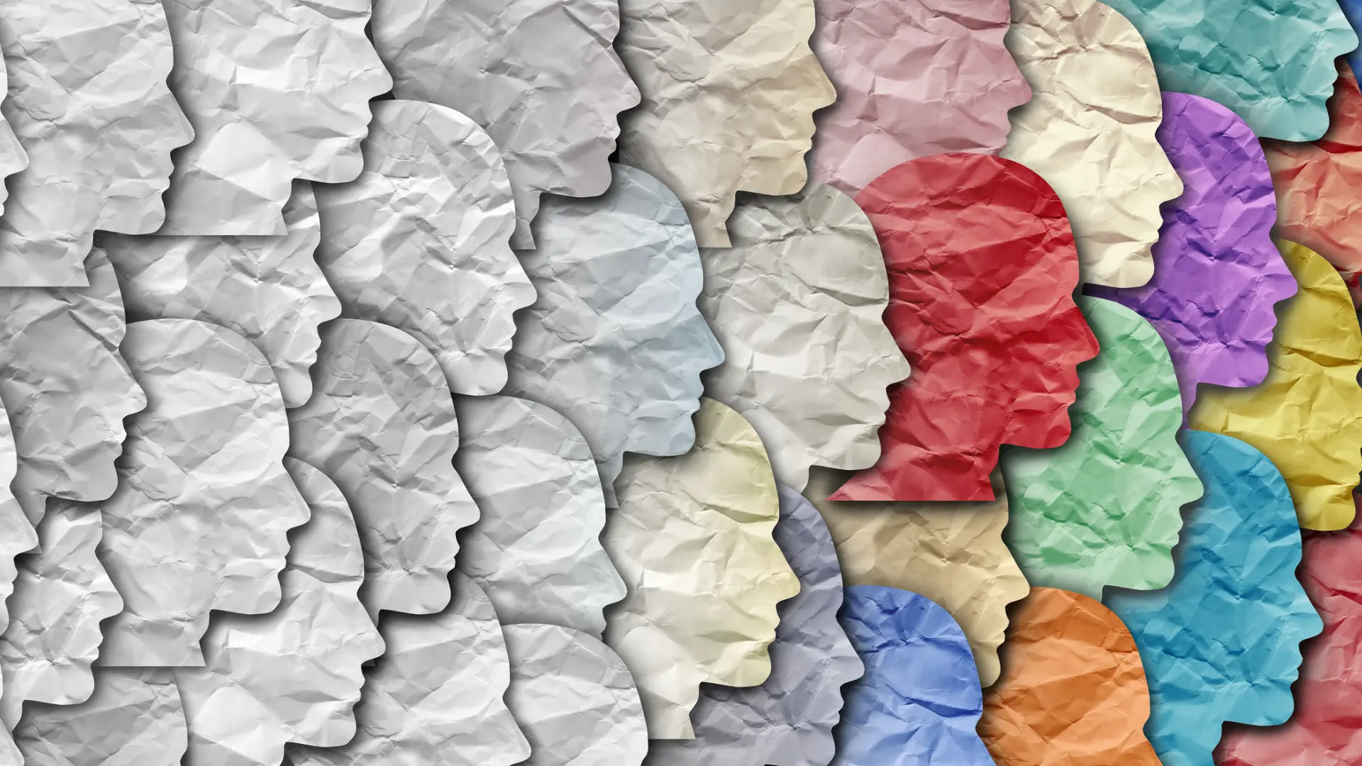Mentoring for Social Change - Blog Image