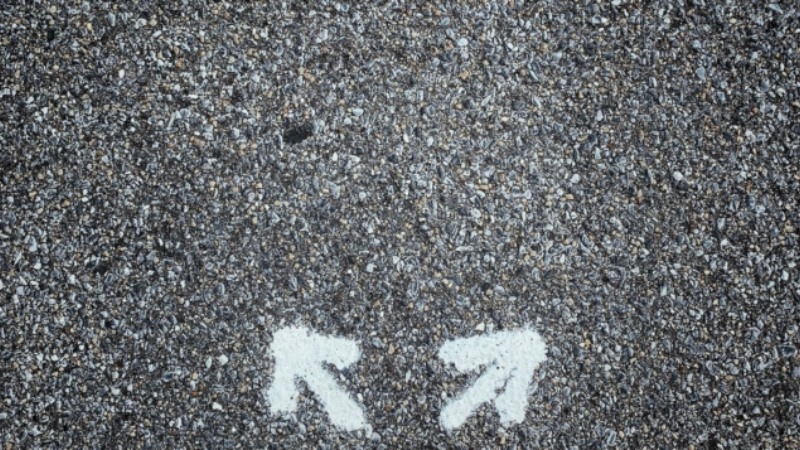 Blog Image - Mentoring vs Coaching: Which is right for you?